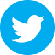 Logo Twitter